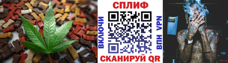 где можно купить наркотик  Пионерский  сайты даркнета какой сайт  Еда ТГК марихуана 