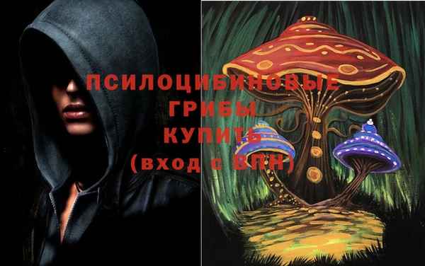 кокс Белокуриха