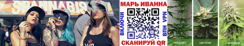 Бошки Шишки конопля Пионерский